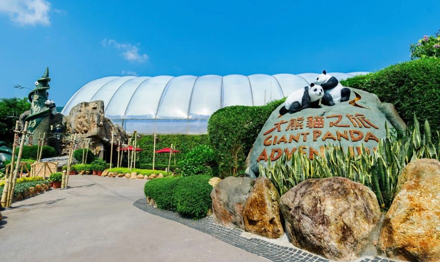 海洋公園睇熊貓攻略｜睇熊貓要預約嗎？排隊攻略＆最佳觀賞時間